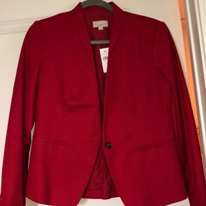 Ann Taylor LOFT Suit Jacket